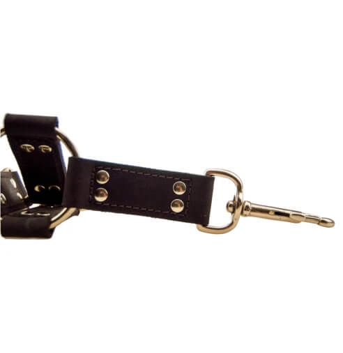 n10100-bound-4-way-hog-tie-2_2